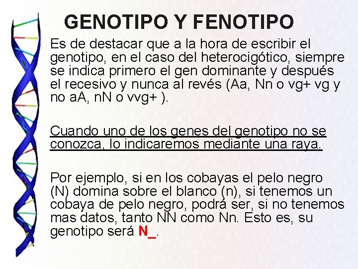 GENOTIPO Y FENOTIPO Es de destacar que a la hora de escribir el genotipo,