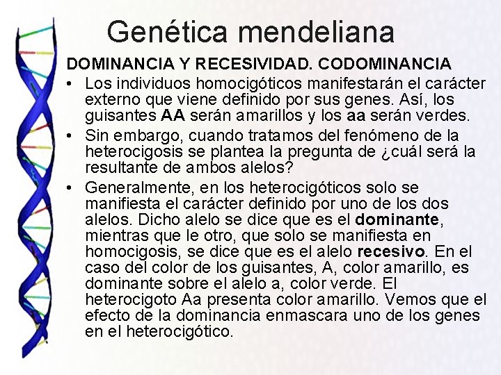 Genética mendeliana DOMINANCIA Y RECESIVIDAD. CODOMINANCIA • Los individuos homocigóticos manifestarán el carácter externo