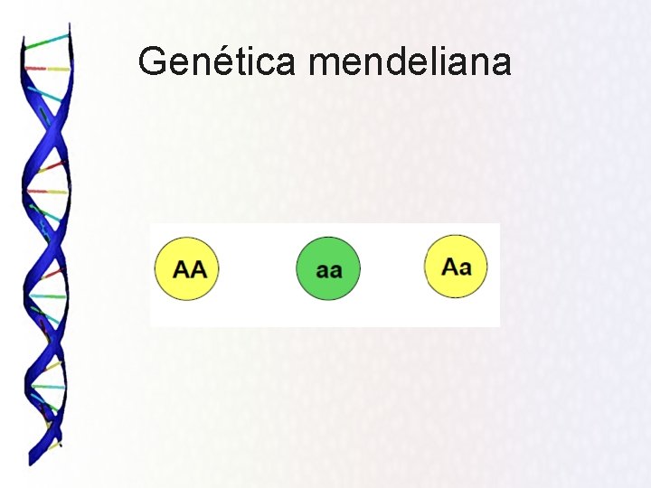 Genética mendeliana 