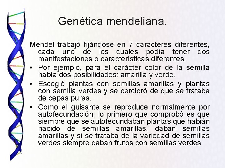 Genética mendeliana. Mendel trabajó fijándose en 7 caracteres diferentes, cada uno de los cuales