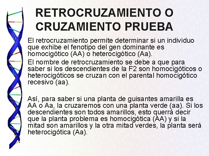 RETROCRUZAMIENTO O CRUZAMIENTO PRUEBA El retrocruzamiento permite determinar si un individuo que exhibe el