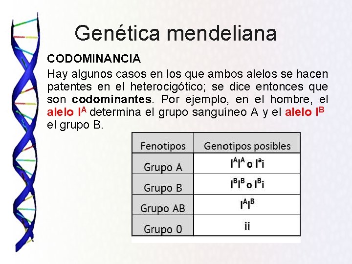 Genética mendeliana CODOMINANCIA Hay algunos casos en los que ambos alelos se hacen patentes