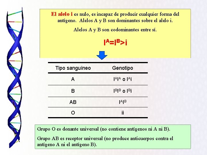 El alelo i es nulo, es incapaz de producir cualquier forma del antígeno. Alelos