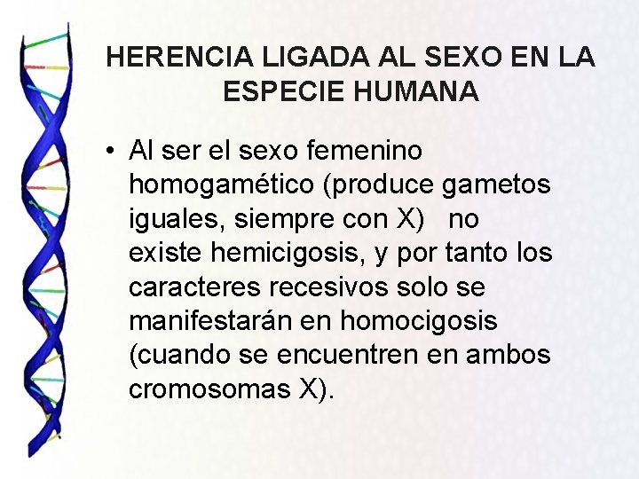 HERENCIA LIGADA AL SEXO EN LA ESPECIE HUMANA • Al ser el sexo femenino