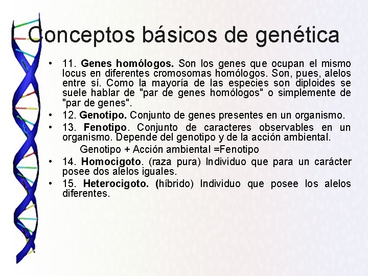 Conceptos básicos de genética • 11. Genes homólogos. Son los genes que ocupan el