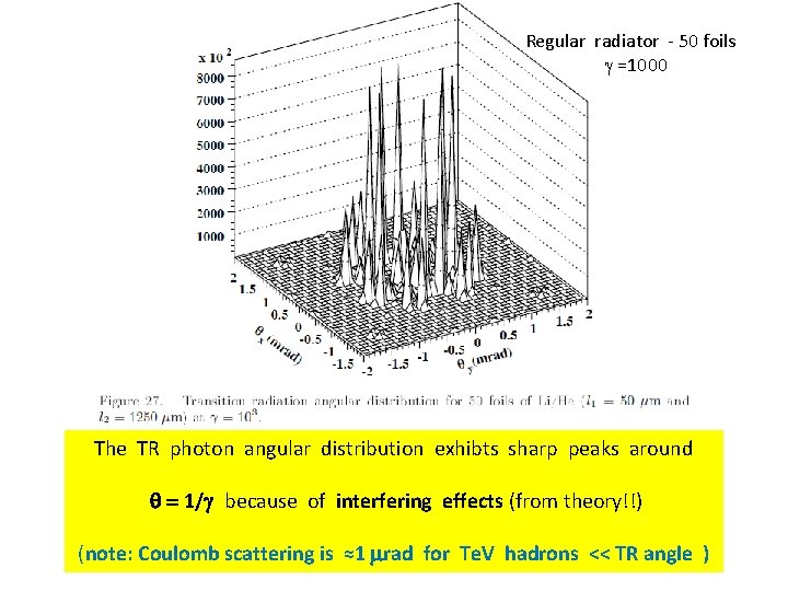 Regular radiator - 50 foils g =1000 The TR photon angular distribution exhibts sharp