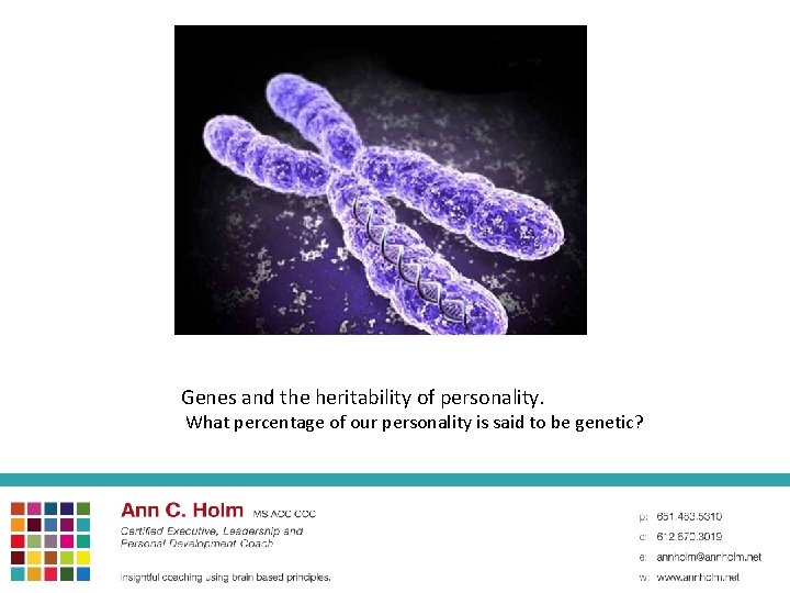 Genes and the heritability of personality. What percentage of our personality is said to