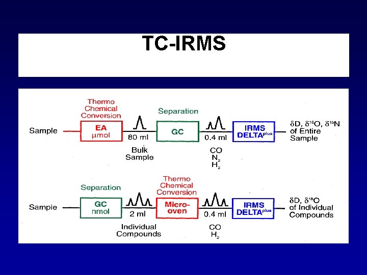 TC-IRMS 