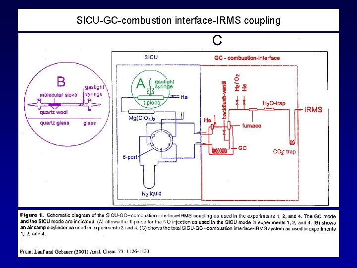 SICU-GC-combustion interface-IRMS coupling 