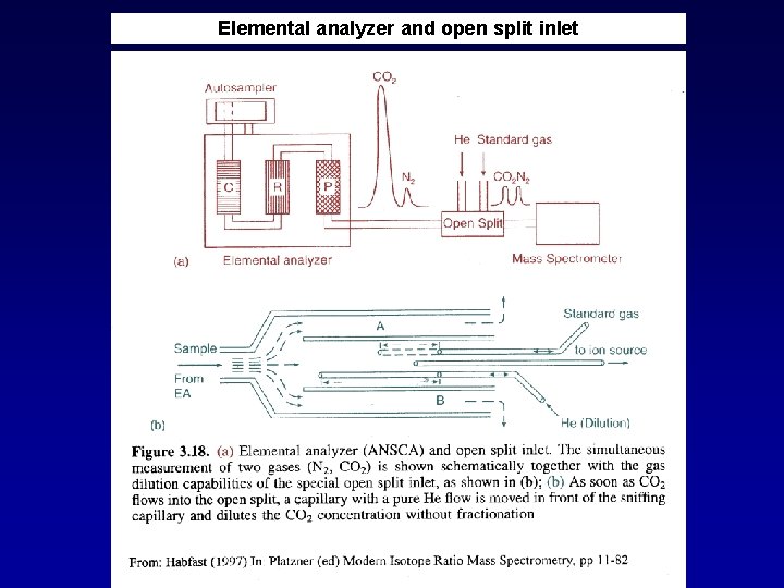 Elemental analyzer and open split inlet 