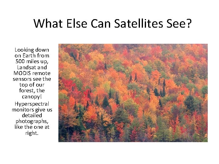 What Else Can Satellites See? Looking down on Earth from 500 miles up, Landsat