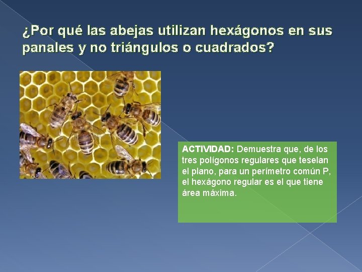 ¿Por qué las abejas utilizan hexágonos en sus panales y no triángulos o cuadrados?