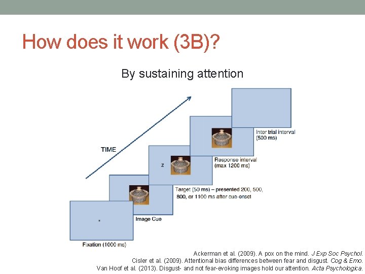 How does it work (3 B)? By sustaining attention Ackerman et al. (2009). A How does it work (3 B)? By sustaining attention Ackerman et al. (2009). A