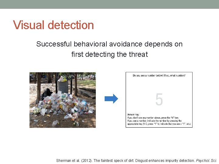 Visual detection Successful behavioral avoidance depends on first detecting the threat Sherman et al. Visual detection Successful behavioral avoidance depends on first detecting the threat Sherman et al.