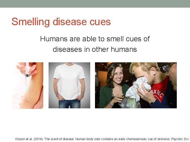 Smelling disease cues Humans are able to smell cues of diseases in other humans Smelling disease cues Humans are able to smell cues of diseases in other humans