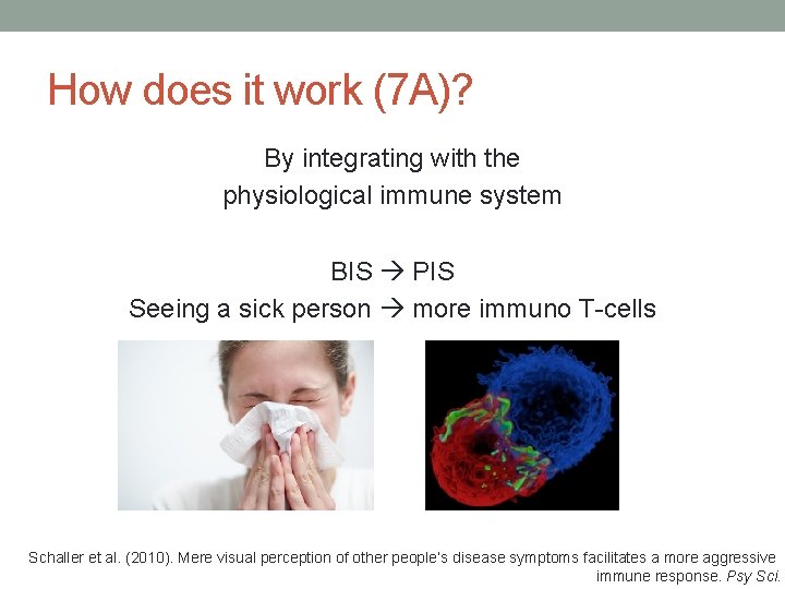 How does it work (7 A)? By integrating with the physiological immune system BIS How does it work (7 A)? By integrating with the physiological immune system BIS