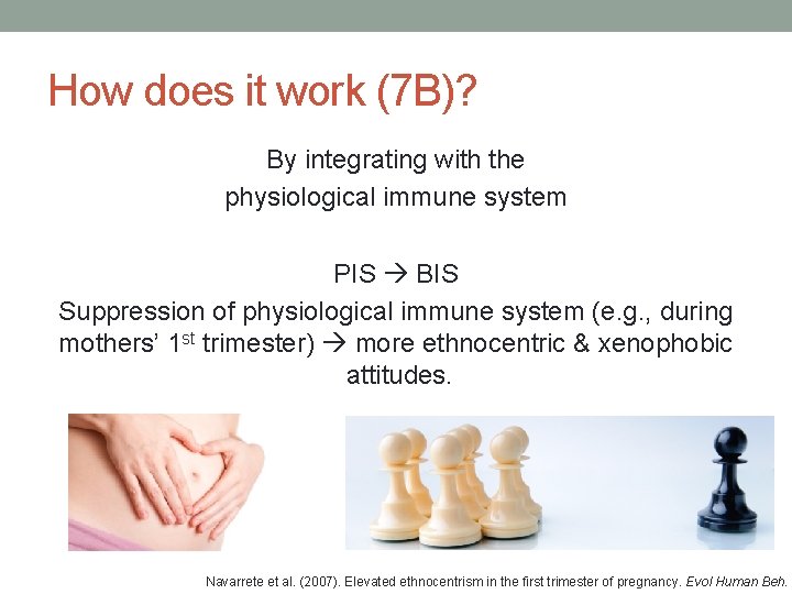 How does it work (7 B)? By integrating with the physiological immune system PIS How does it work (7 B)? By integrating with the physiological immune system PIS