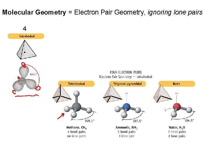 Molecular Geometry = Electron Pair Geometry, ignoring lone pairs 