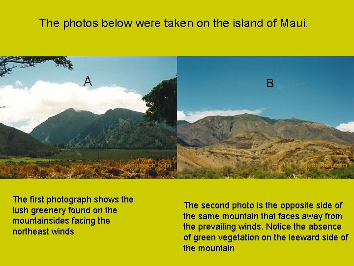 The photos below were taken on the island of Maui. A The first photograph