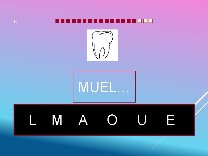 5 MUEL… L M A O U E 