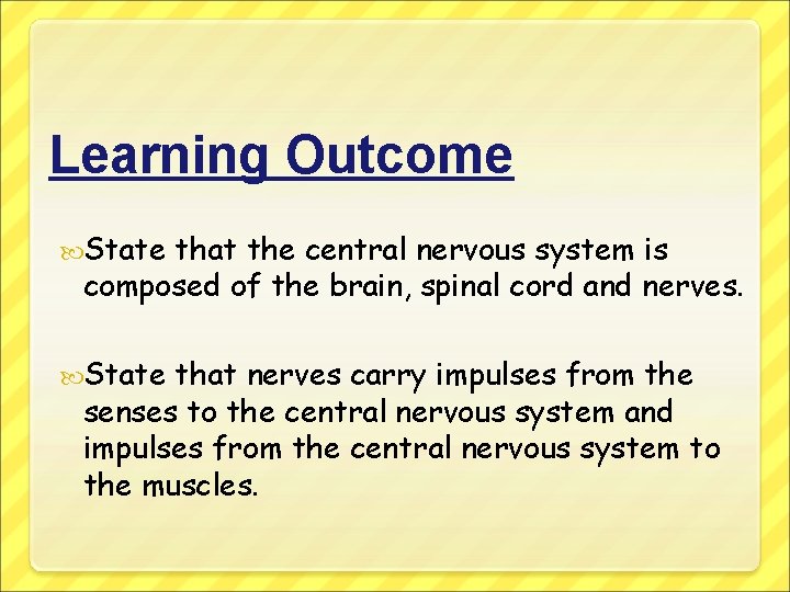 Learning Outcome State that the central nervous system is composed of the brain, spinal