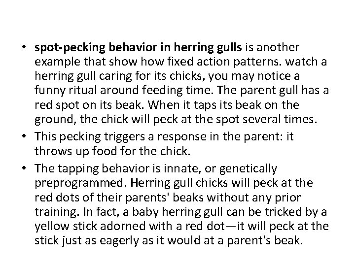  • spot-pecking behavior in herring gulls is another example that show fixed action