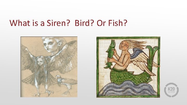 What is a Siren? Bird? Or Fish? 