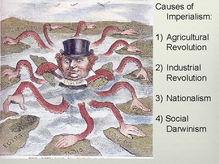 Causes of Imperialism: 1) Agricultural Revolution 2) Industrial Revolution 3) Nationalism 4) Social Darwinism