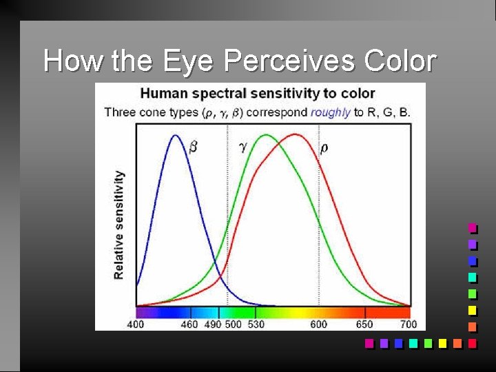 How the Eye Perceives Color 