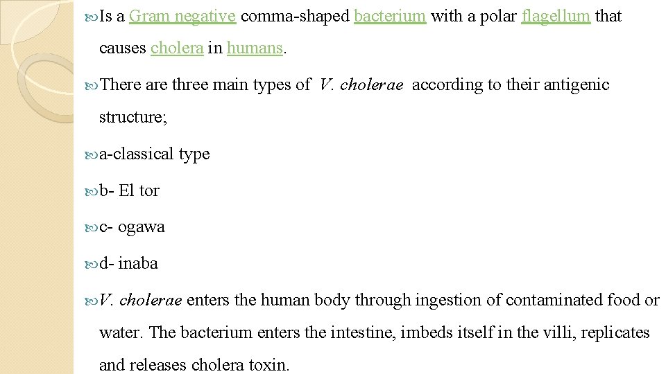 Is a Gram negative comma-shaped bacterium with a polar flagellum that causes cholera