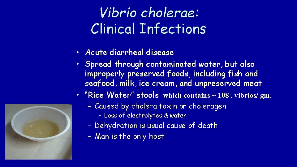 Vibrio cholerae: Clinical Infections • Acute diarrheal disease • Spread through contaminated water, but