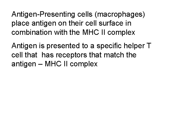 Antigen-Presenting cells (macrophages) place antigen on their cell surface in combination with the MHC