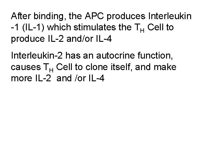 After binding, the APC produces Interleukin -1 (IL-1) which stimulates the TH Cell to