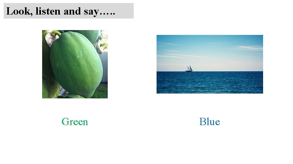Look, listen and say…. . Green Blue 