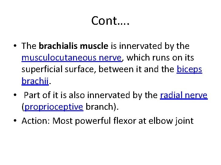 Cont…. • The brachialis muscle is innervated by the musculocutaneous nerve, which runs on