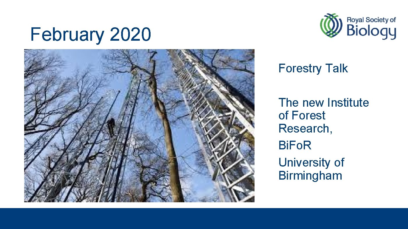 February 2020 Forestry Talk The new Institute of Forest Research, Bi. Fo. R University