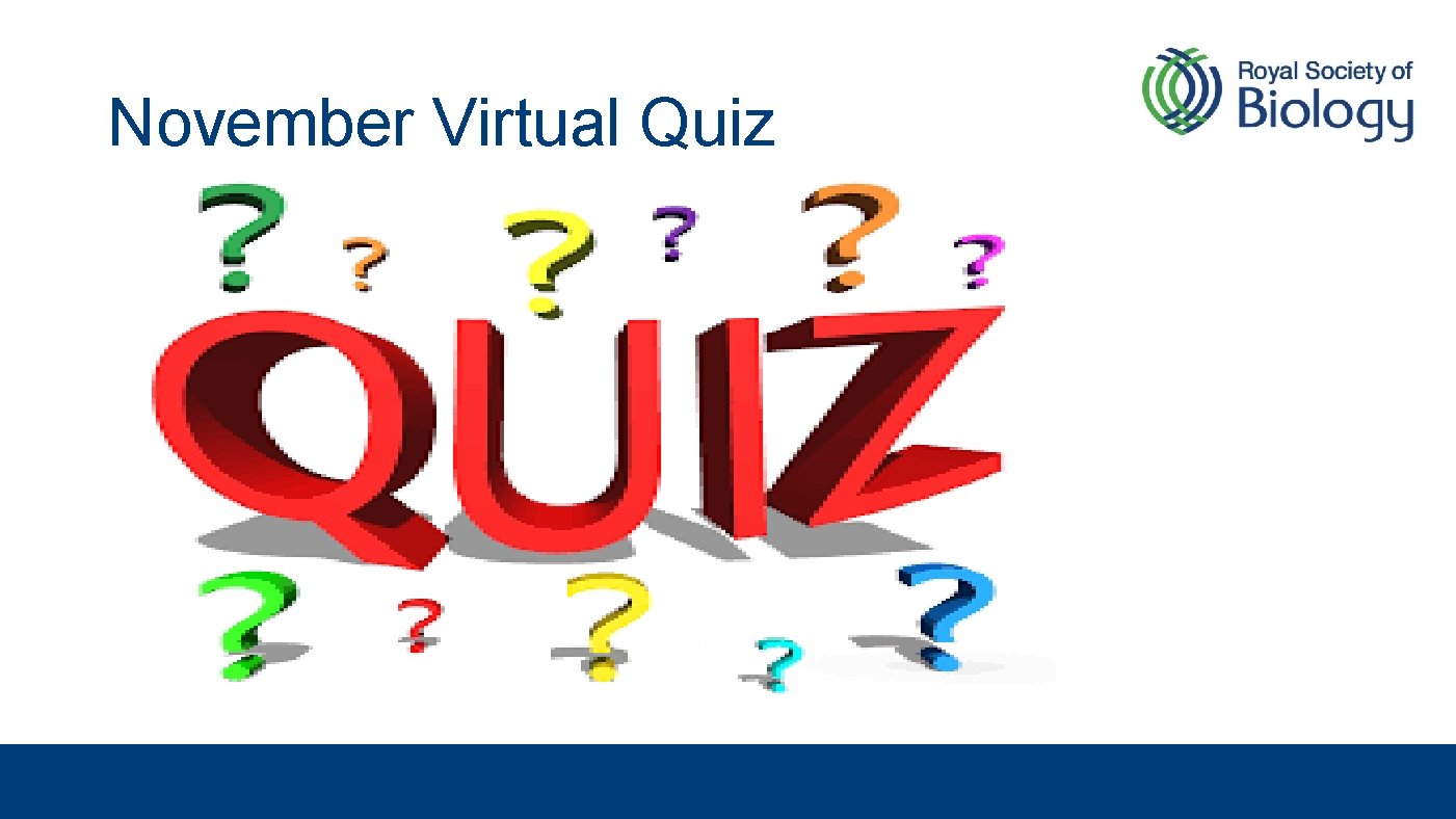 November Virtual Quiz 