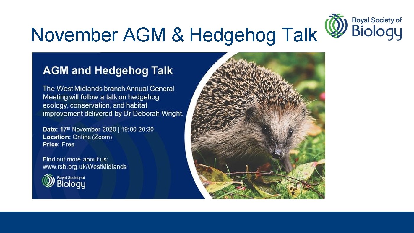 November AGM & Hedgehog Talk 