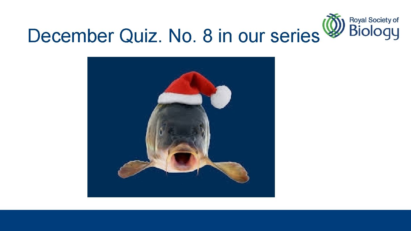 December Quiz. No. 8 in our series 