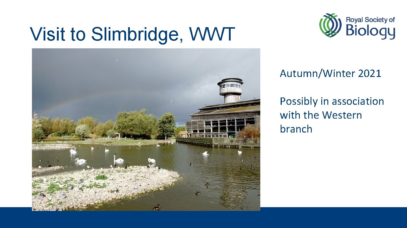 Visit to Slimbridge, WWT Autumn/Winter 2021 Possibly in association with the Western branch 