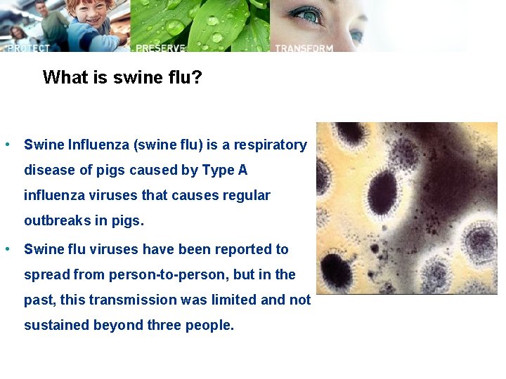 What is swine flu? • Swine Influenza (swine flu) is a respiratory disease of