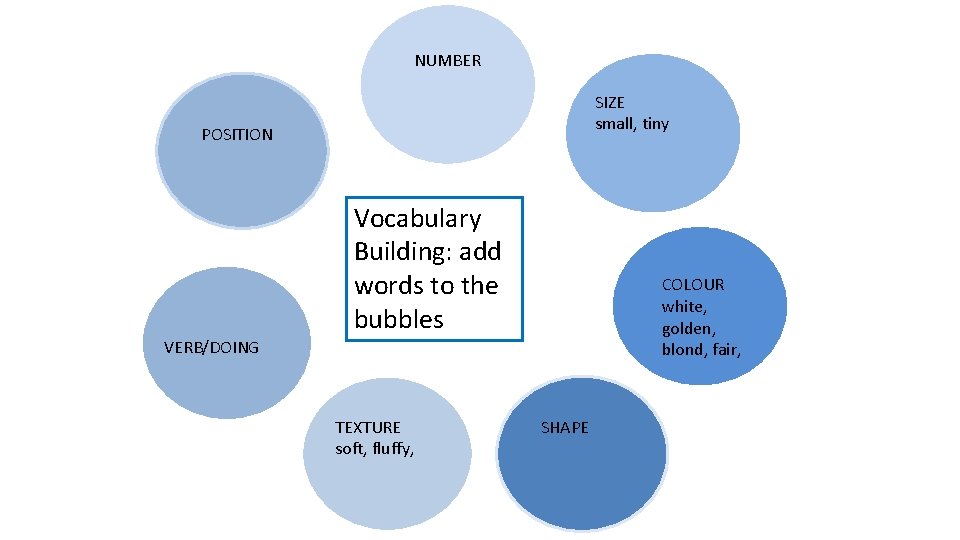 NUMBER SIZE small, tiny POSITION Vocabulary Building: add words to the bubbles number VERB/DOING