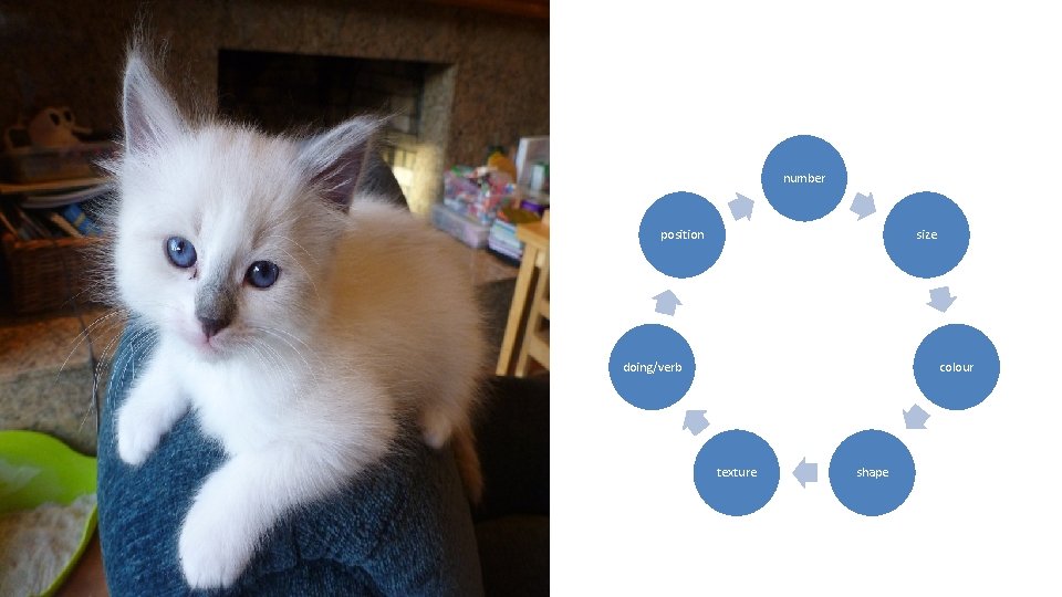 number position size doing/verb colour texture shape 