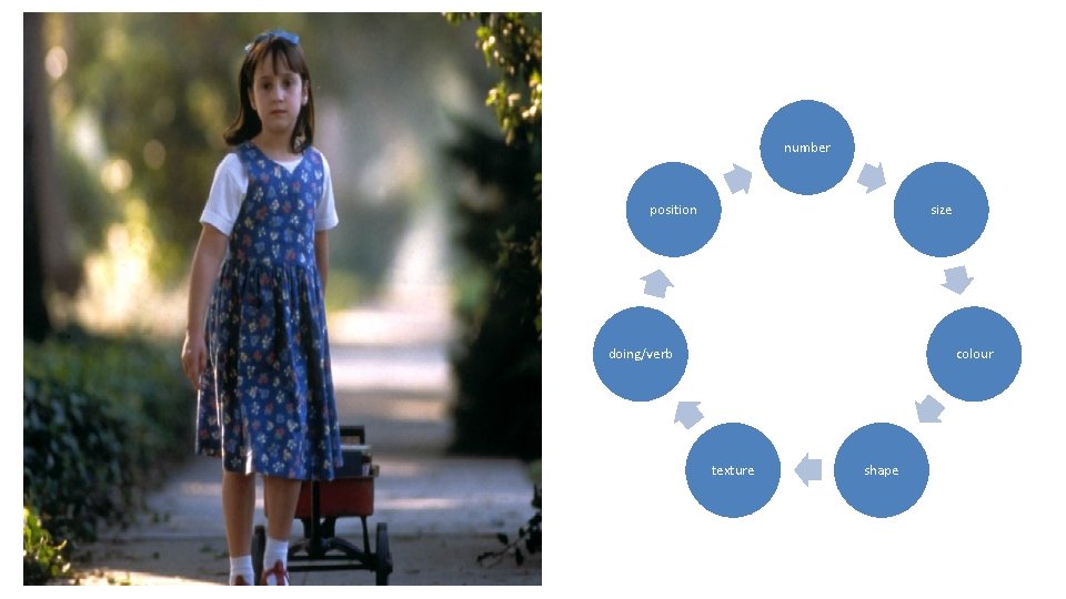 number position size doing/verb colour texture shape 
