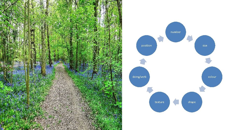 number position size doing/verb colour texture shape 