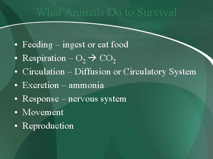 What Animals Do to Survival • • Feeding – ingest or eat food Respiration