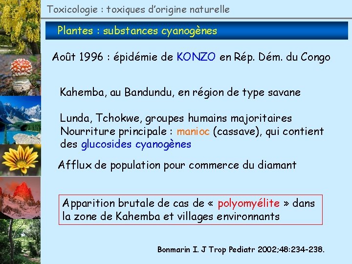 Toxicologie : toxiques d’origine naturelle Plantes : substances cyanogènes Août 1996 : épidémie de