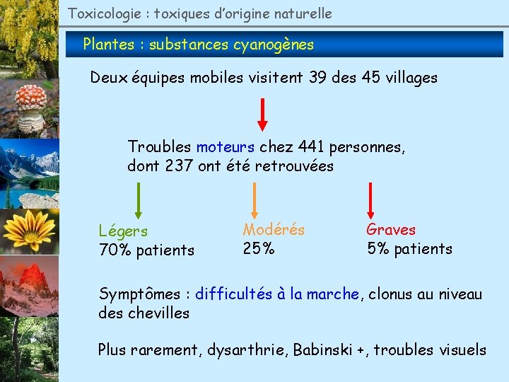 Toxicologie : toxiques d’origine naturelle Plantes : substances cyanogènes Deux équipes mobiles visitent 39