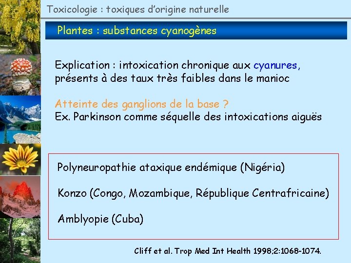 Toxicologie : toxiques d’origine naturelle Plantes : substances cyanogènes Explication : intoxication chronique aux