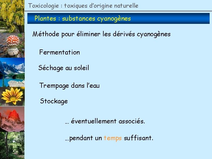 Toxicologie : toxiques d’origine naturelle Plantes : substances cyanogènes Méthode pour éliminer les dérivés